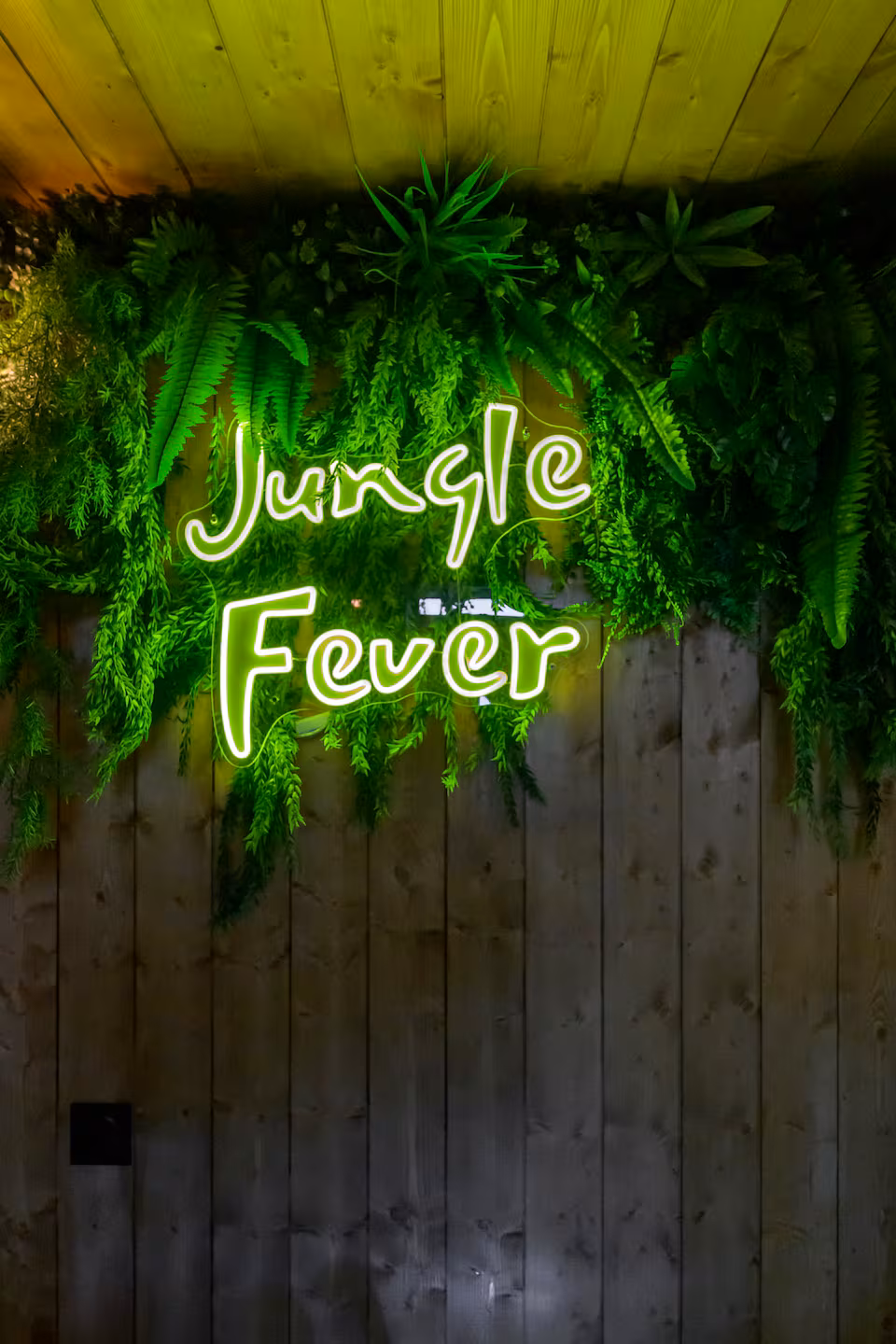 JungleFever, miniature 6